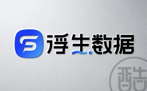 浮生数据品牌LOGO