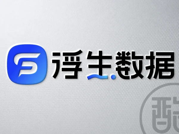 浮生数据品牌LOGO